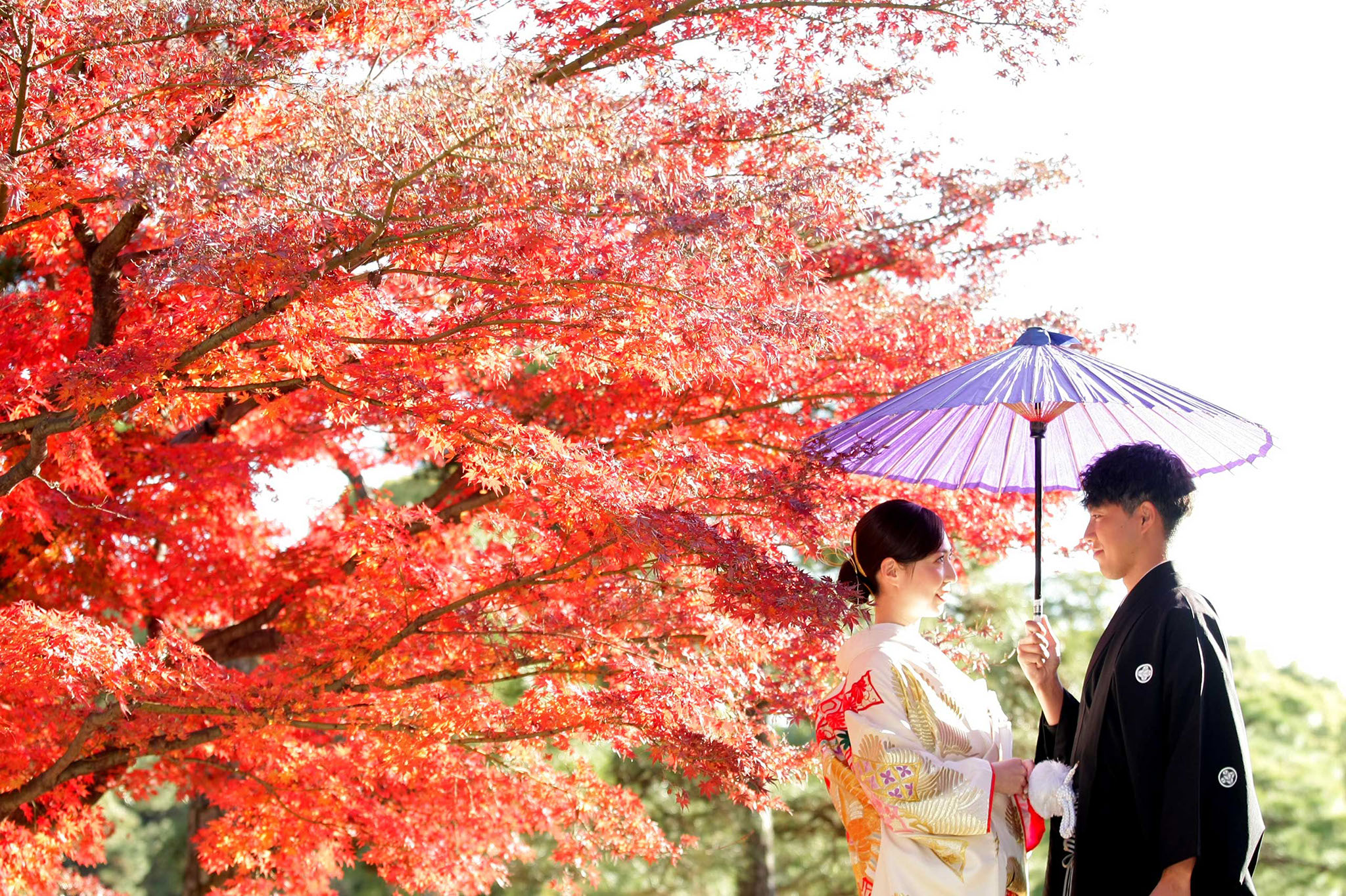 東京装苑の写真1