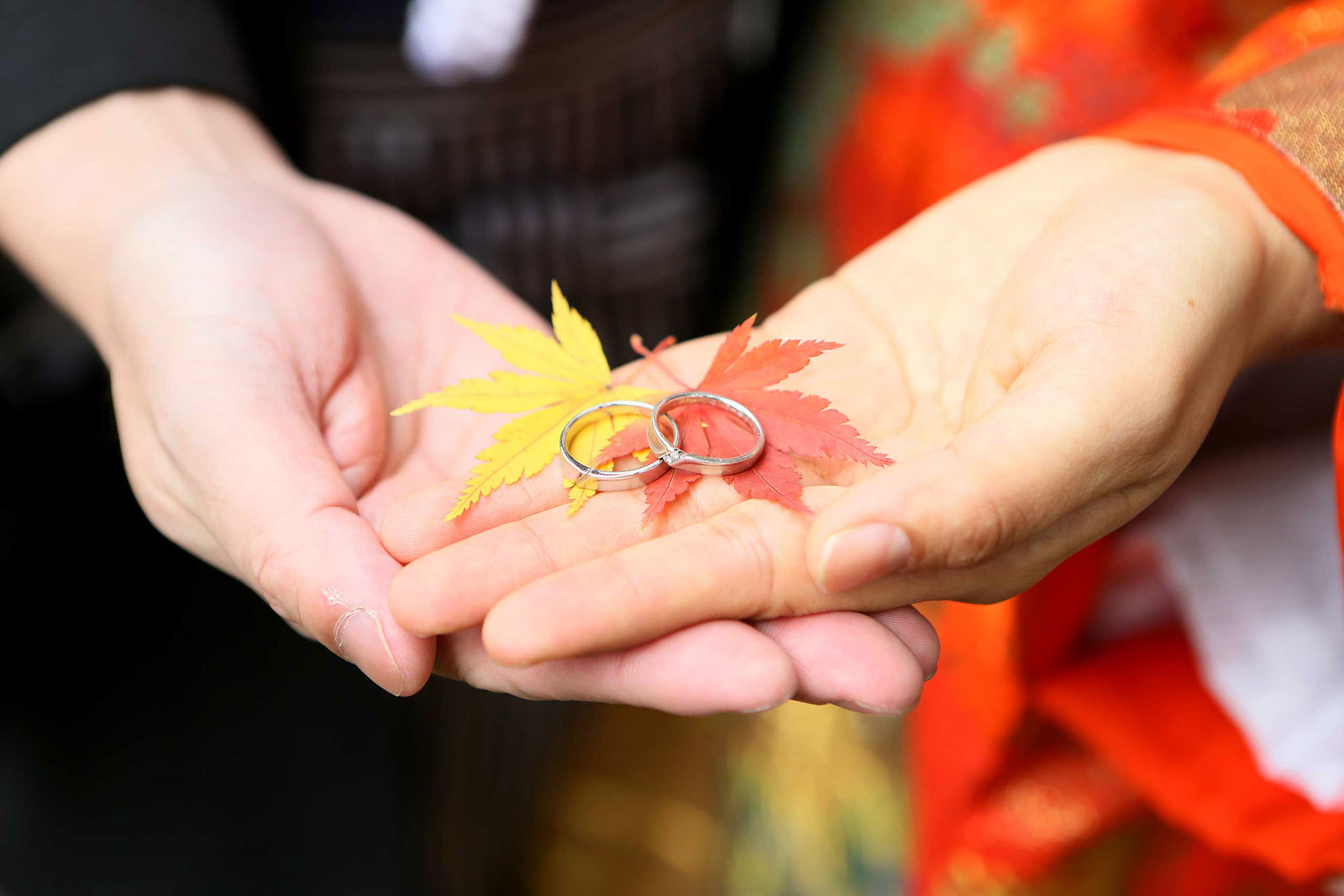 東京装苑の写真3