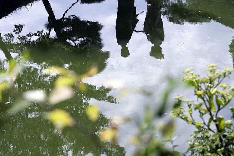 東京装苑 旧芝離宮恩賜庭園